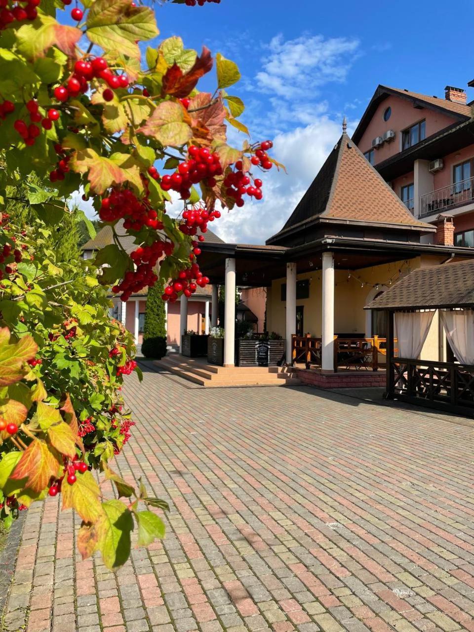 Hotel Срібний Водограй Polyana  Zewnętrze zdjęcie